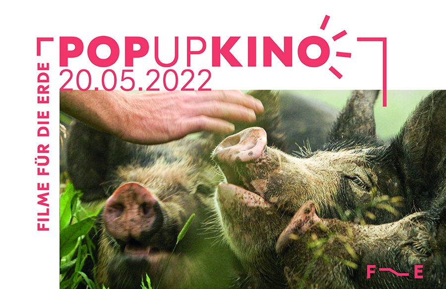  Filme für die Erde Pop-up Kino